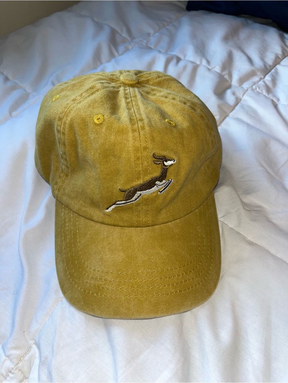 Springboks Natural Emb Dad Cap-Mustard